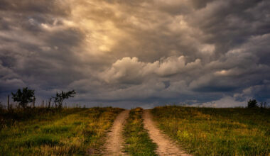 Not alone in the dark tunnel • Inside Story