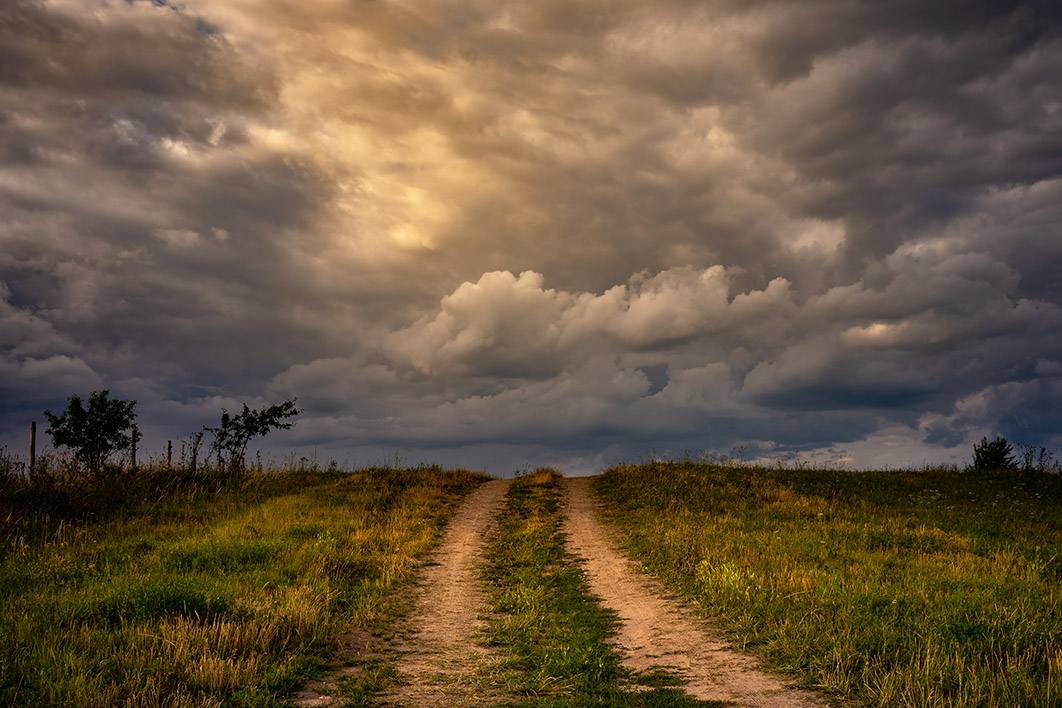 Not alone in the dark tunnel • Inside Story