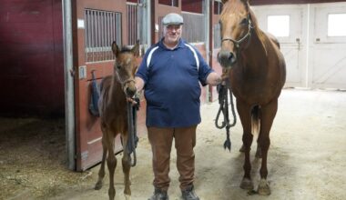 Veteran horseman Tim Drake says bringing a new life into the world never gets old