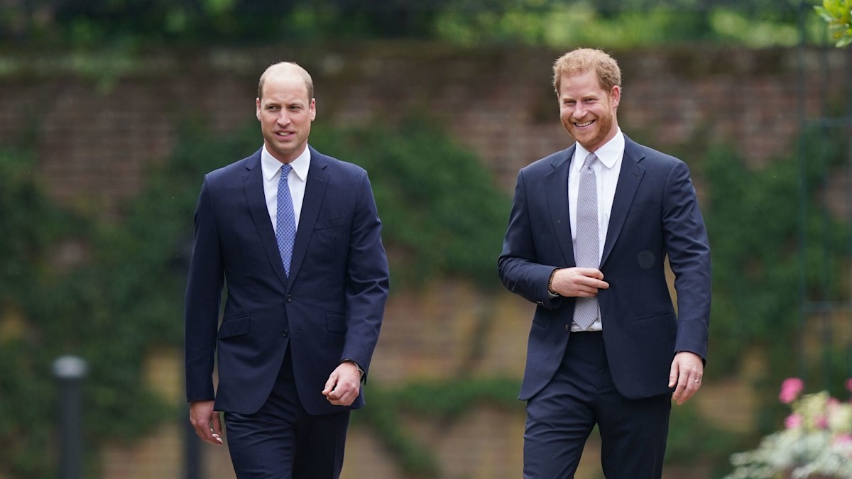 Have Princes William and Harry secretly bid on Princess Diana's clothes? Exclusive