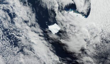 Earth, new ocean
