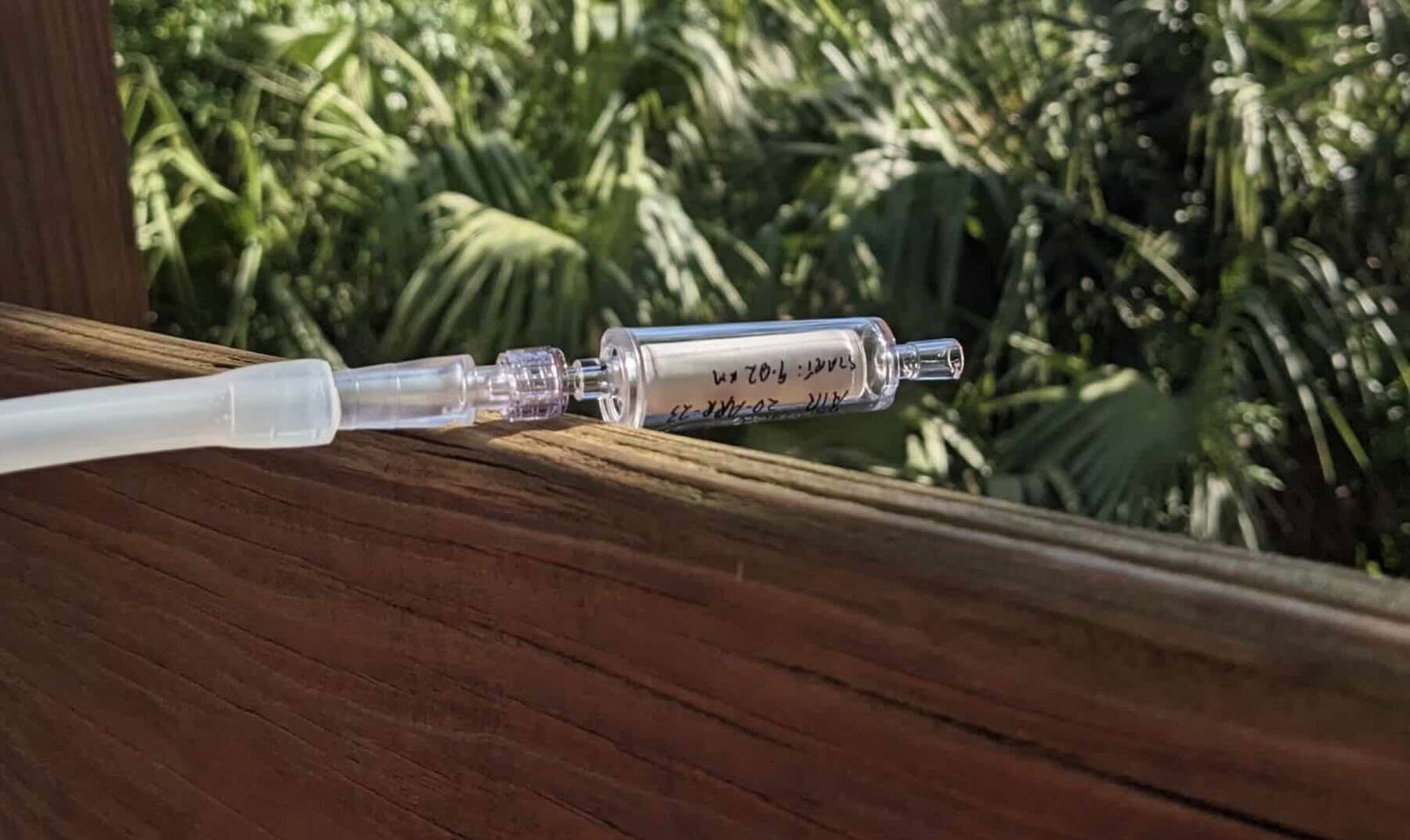 environmental DNA