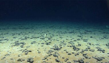 Europe Unveils the Largest Treasure Ever Found Beneath the Ocean: Nearly 45,000 Tons Extracted Annually