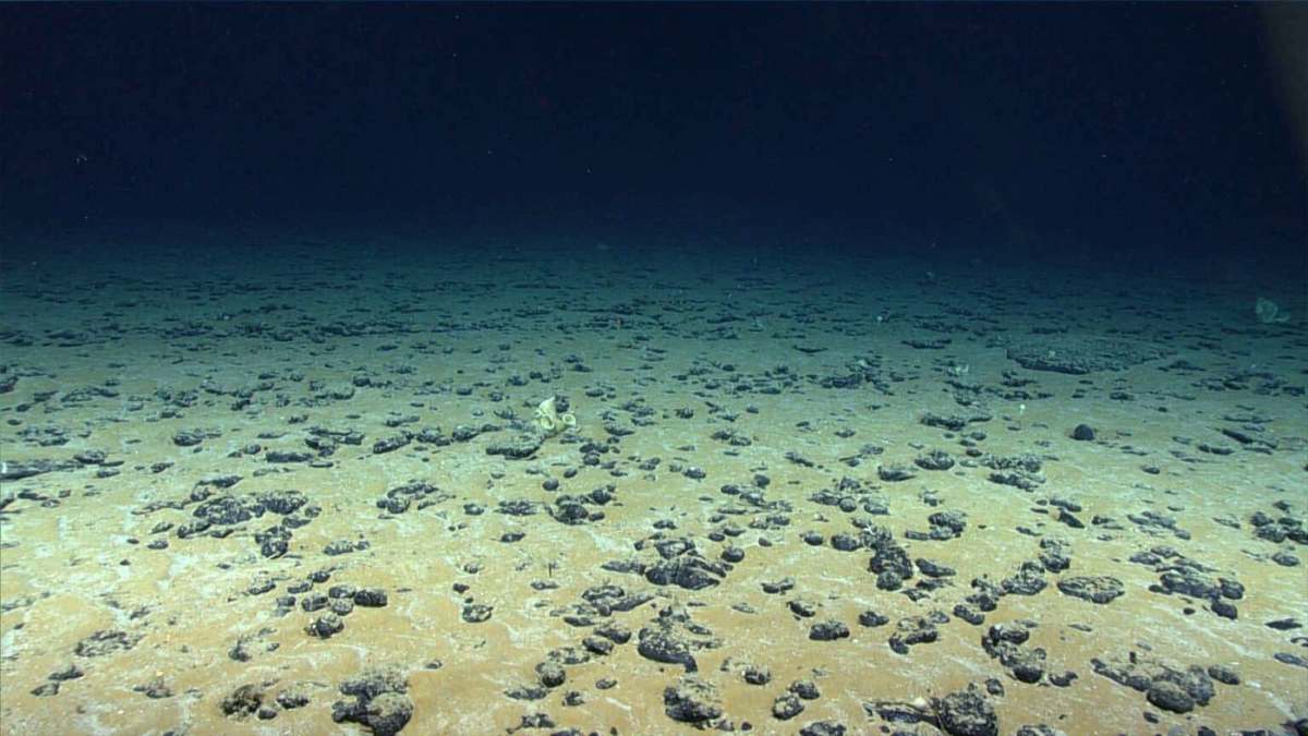 Europe Unveils the Largest Treasure Ever Found Beneath the Ocean: Nearly 45,000 Tons Extracted Annually
