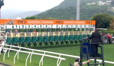 The starting gates at Sha Tin