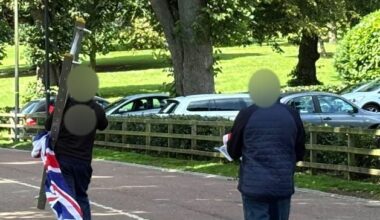 Wallace Park, Lisburn: Flags erected for first time in Co Antrim park quickly removed