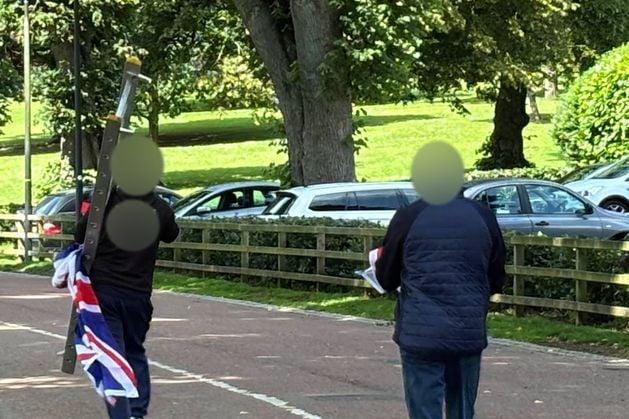Wallace Park, Lisburn: Flags erected for first time in Co Antrim park quickly removed