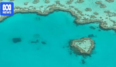 Seeking a reset on the environment debate, Murray Watt gathers business and conservation groups in search of a deal