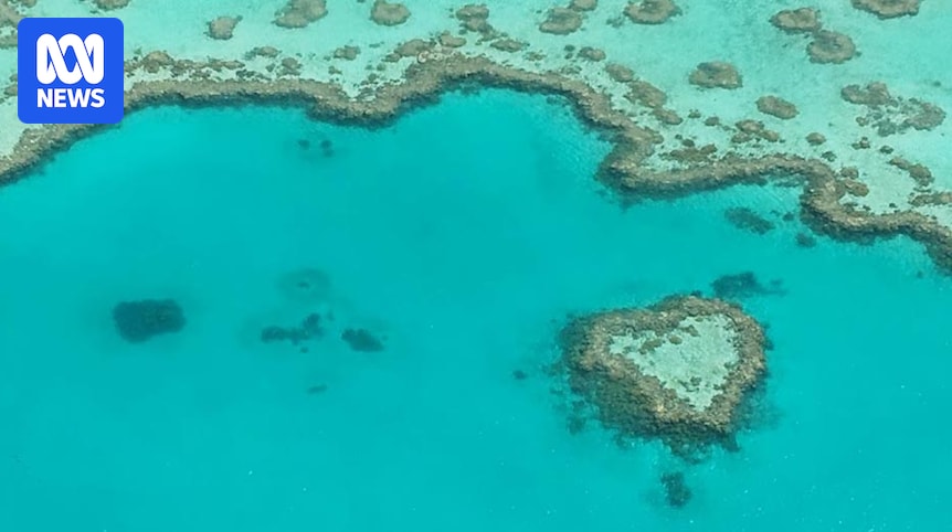 Seeking a reset on the environment debate, Murray Watt gathers business and conservation groups in search of a deal