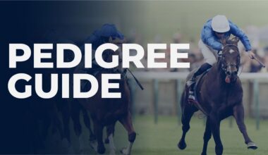 skybet