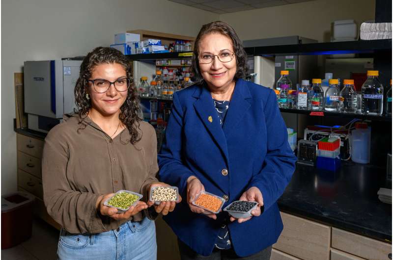 Fermenting legume pulses boosts their antidiabetic, antioxidant properties