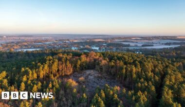 'Beautiful' Surrey landscape becomes nature reserve