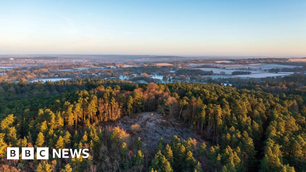 'Beautiful' Surrey landscape becomes nature reserve