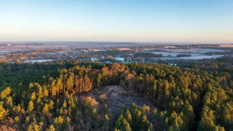 Surrey County Council Aerial view of woodland with lakes in the background