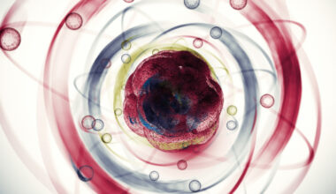 A Fifth Force of Nature May Have Been Discovered Inside Atoms : ScienceAlert