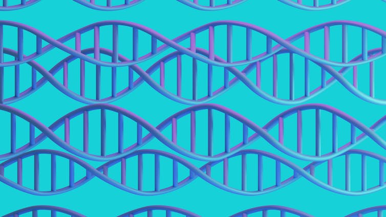 Researchers uncovered hundreds of genes linked to OCD, providing clues about how it changes the brain