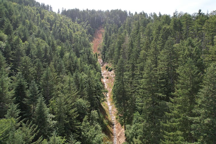 An aerial view of a river with evidence of a landslide. Broken trees look like toothpicks scattered about, and the river flow is partially blocked.