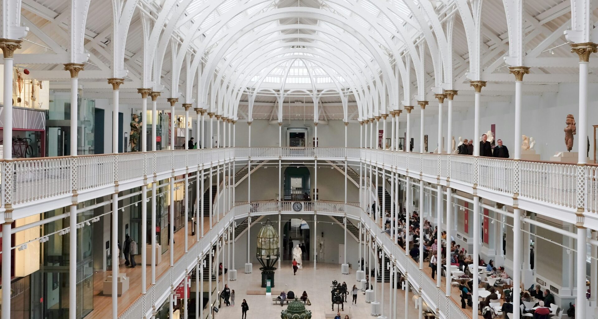 Polar bear remains donated to National Museum of Scotland