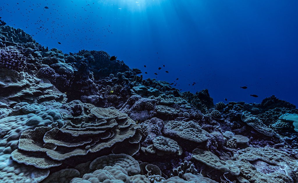 French Polynesia Sets World's Largest Marine Protected Area
