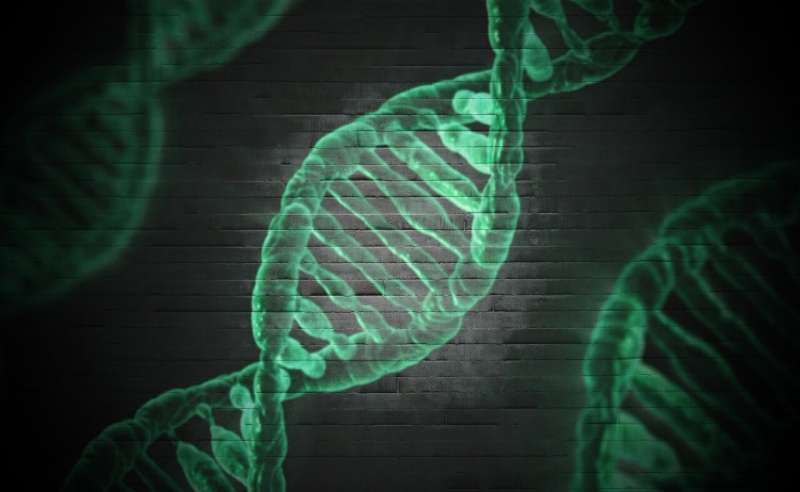 gene