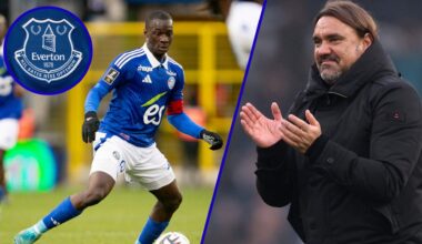 Everton handed lifeline in Habib Diarra race much to the dismay of Leeds United