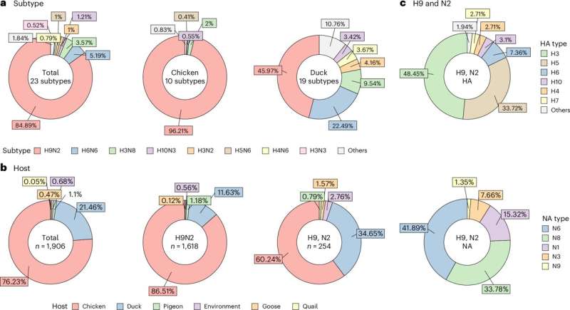 Genetic keys to increasing threat of H9N2 avian influenza revealed
