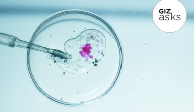 When Will Genetically Modifying Our Children Go Mainstream?