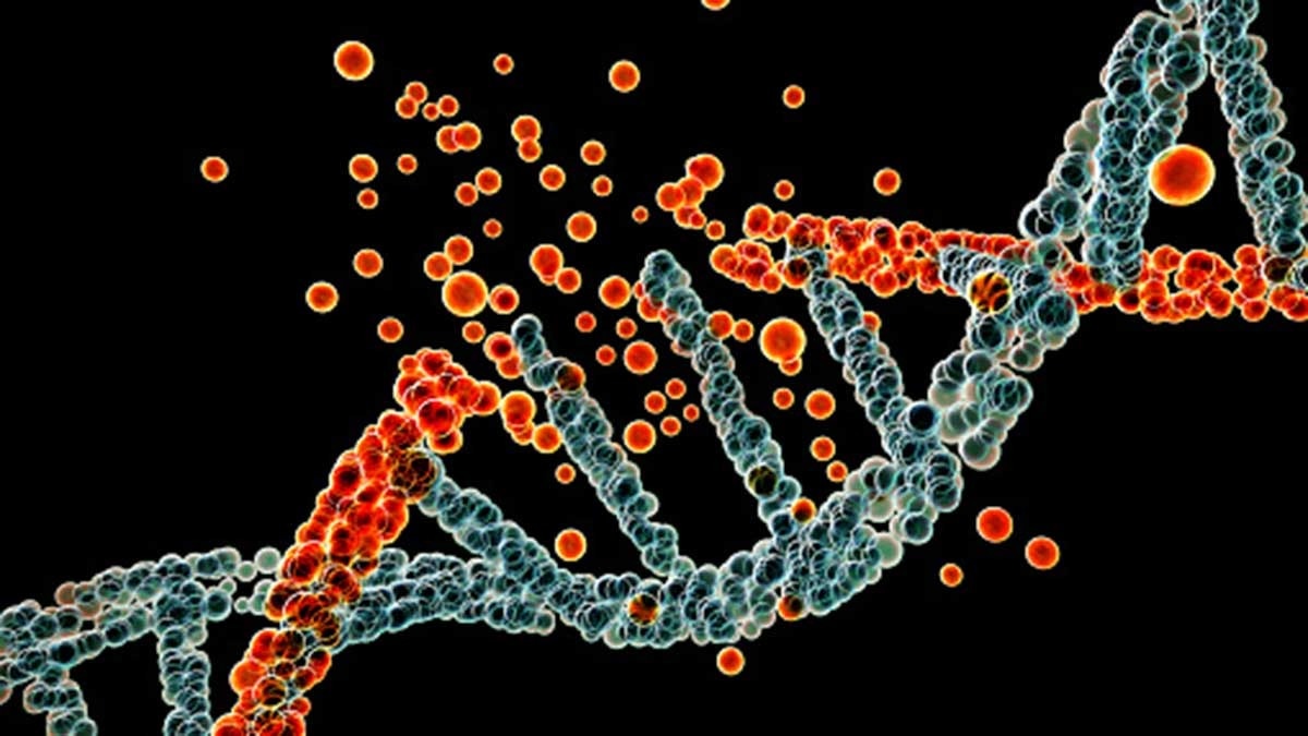 How India can weaponise data in battle against rare, genetic diseases