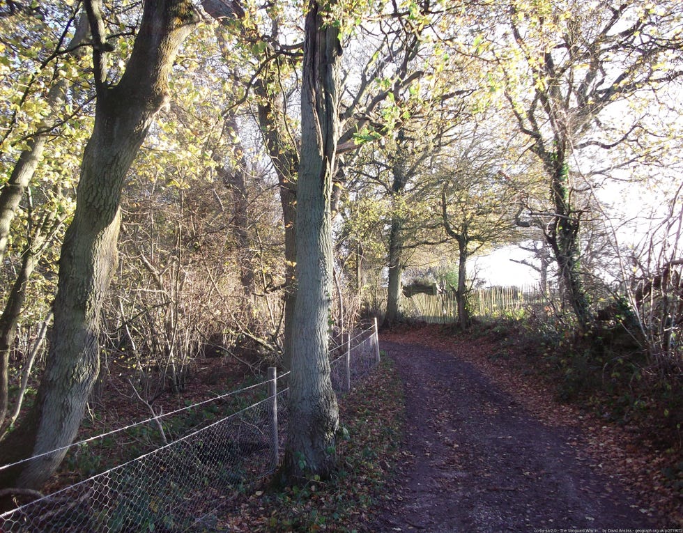 vanguard way