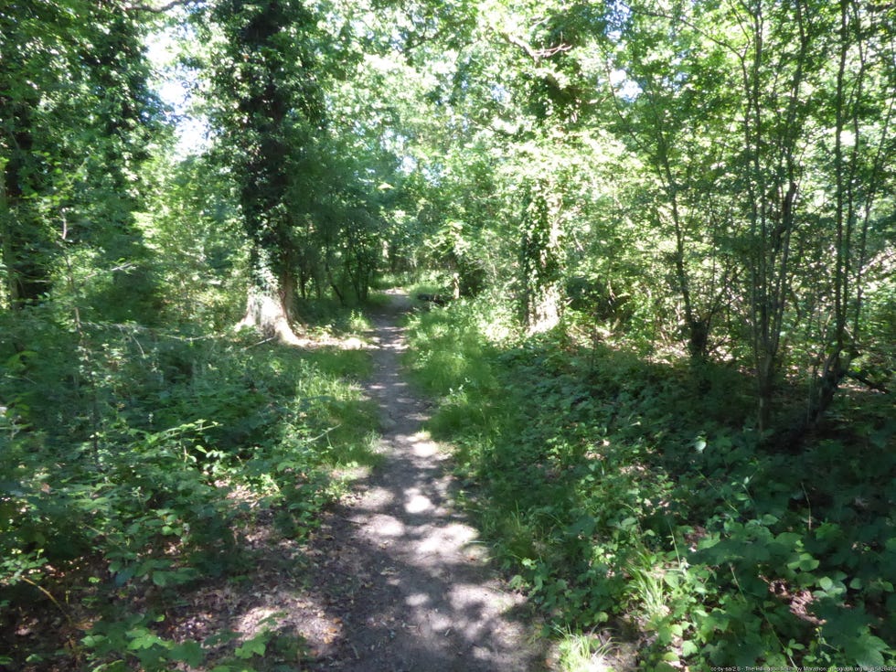hillingdon trail