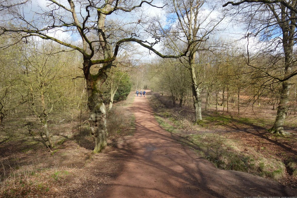 epping forest