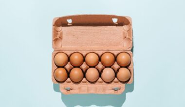 five eggs in a row on a yellow background