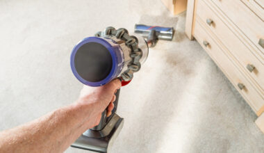Dyson refused permission to appeal post-Brexit