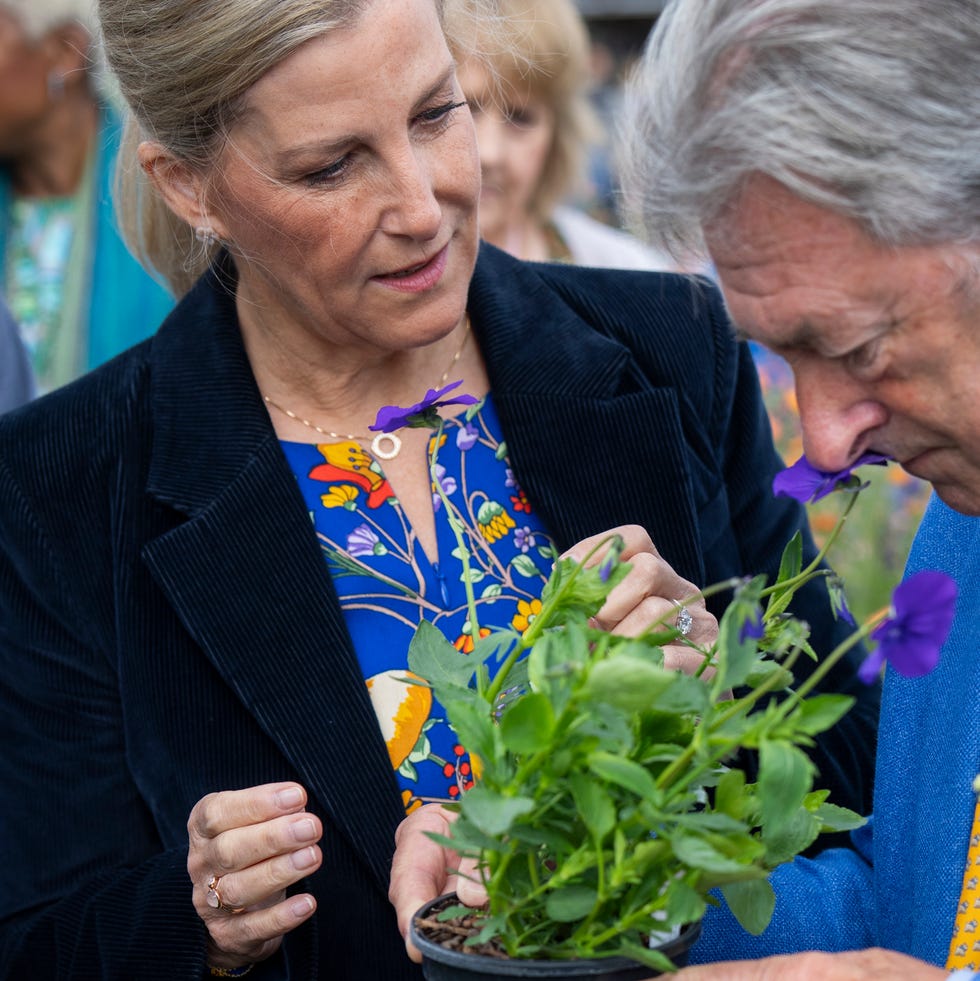 windsor, england june 7: sophie, duchess of edinburgh and alan titchmarsh attend the royal windsor flower show at windsor great park on june 7, 2025 in windsor, england. (photo by mark cuthbert/uk press via getty images)