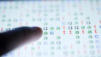 New Method Speeds Diagnosis Of Rare Genetic Disease