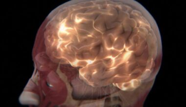 Your Brain Emits a Secret Light That Scientists Are Trying to Read : ScienceAlert