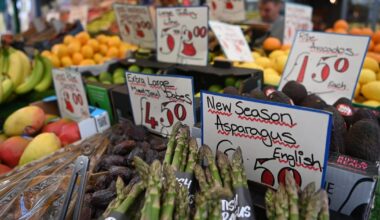 UK puts new Brexit checks on hold while it negotiates agri-food deal – POLITICO