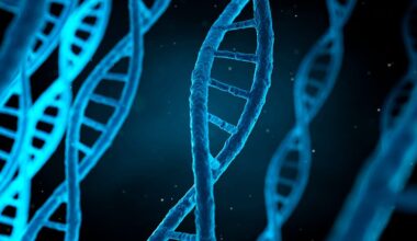 The Genetic Counselor: Your Clinic’s Missing Link