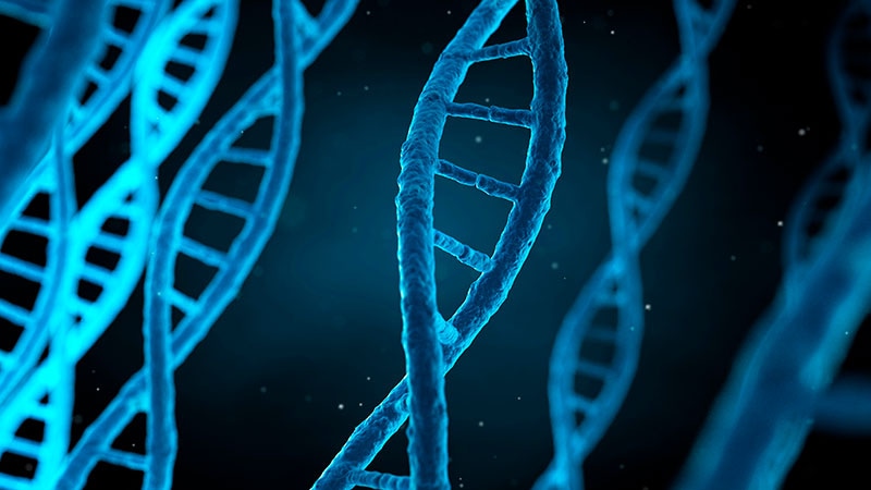 The Genetic Counselor: Your Clinic’s Missing Link