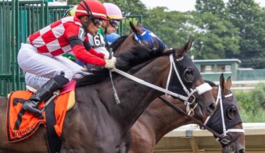 2025 Belmont Stakes horses, odds, entries, date: Expert who nailed Derby, Preakness makes picks, predictions