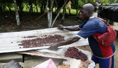 Why skyrocketing cocoa prices are not benefiting Africa’s farmers