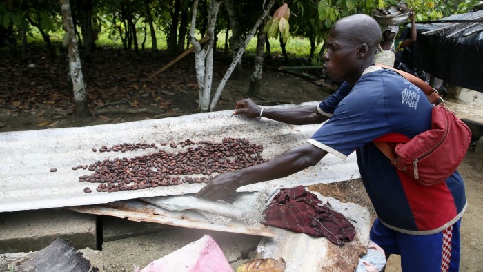 Why skyrocketing cocoa prices are not benefiting Africa’s farmers