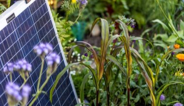 The gardens that AI grew