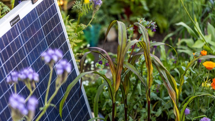 The gardens that AI grew
