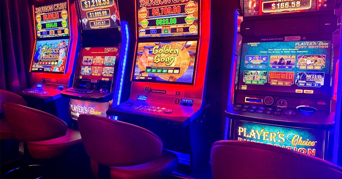 NSW gamblers losing $24 million on pokies every day: report