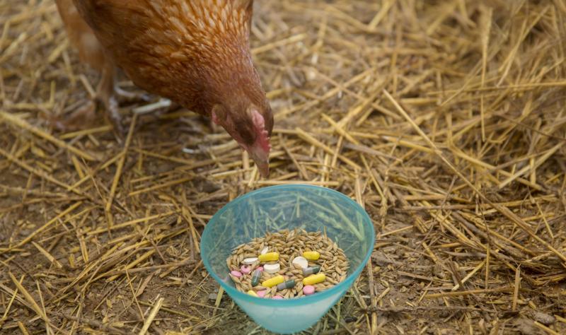 Antibiotics used in food-animal production linked to resistance in people