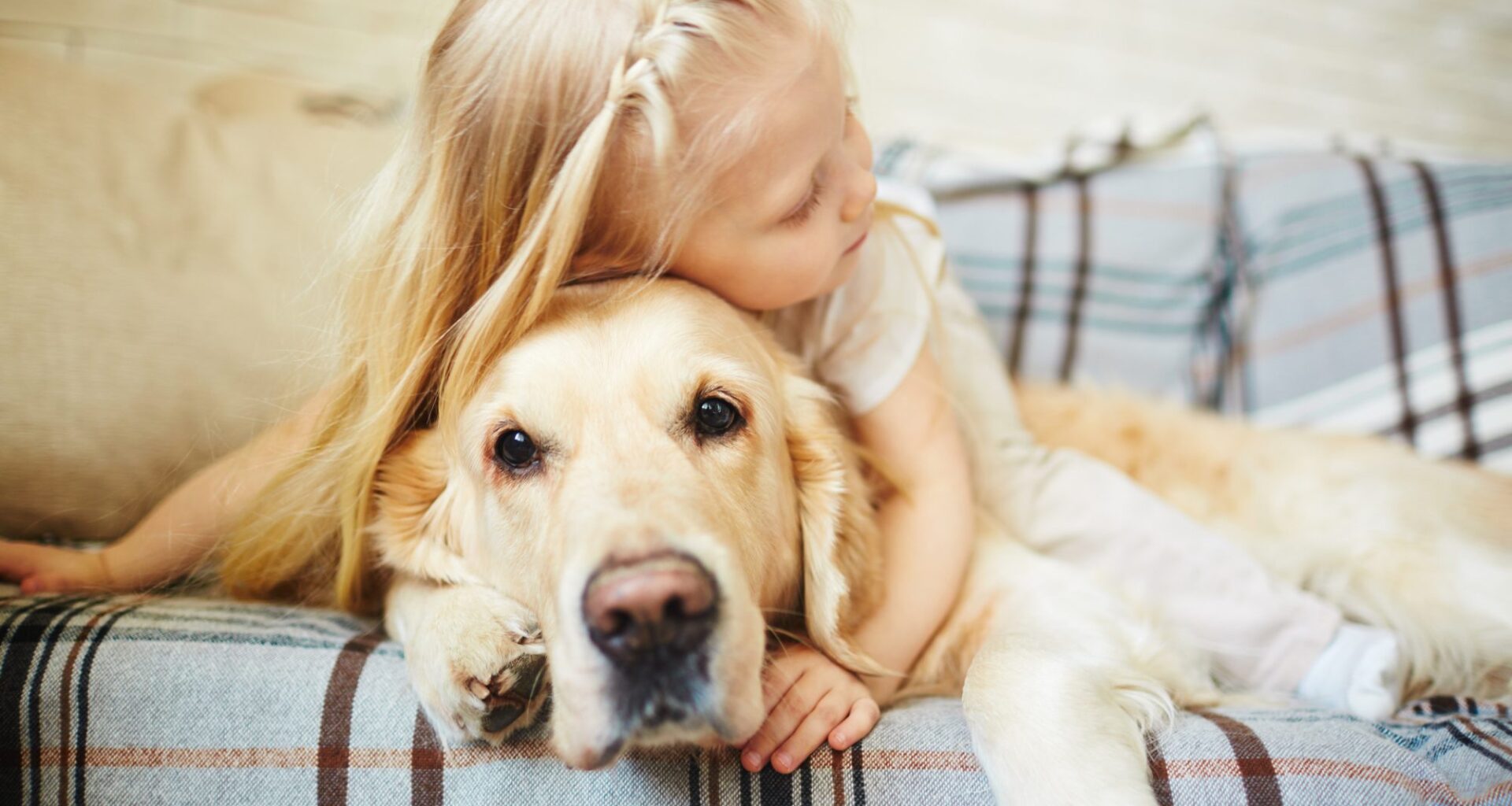 Pet dogs may help prevent genetic eczema in children, study finds