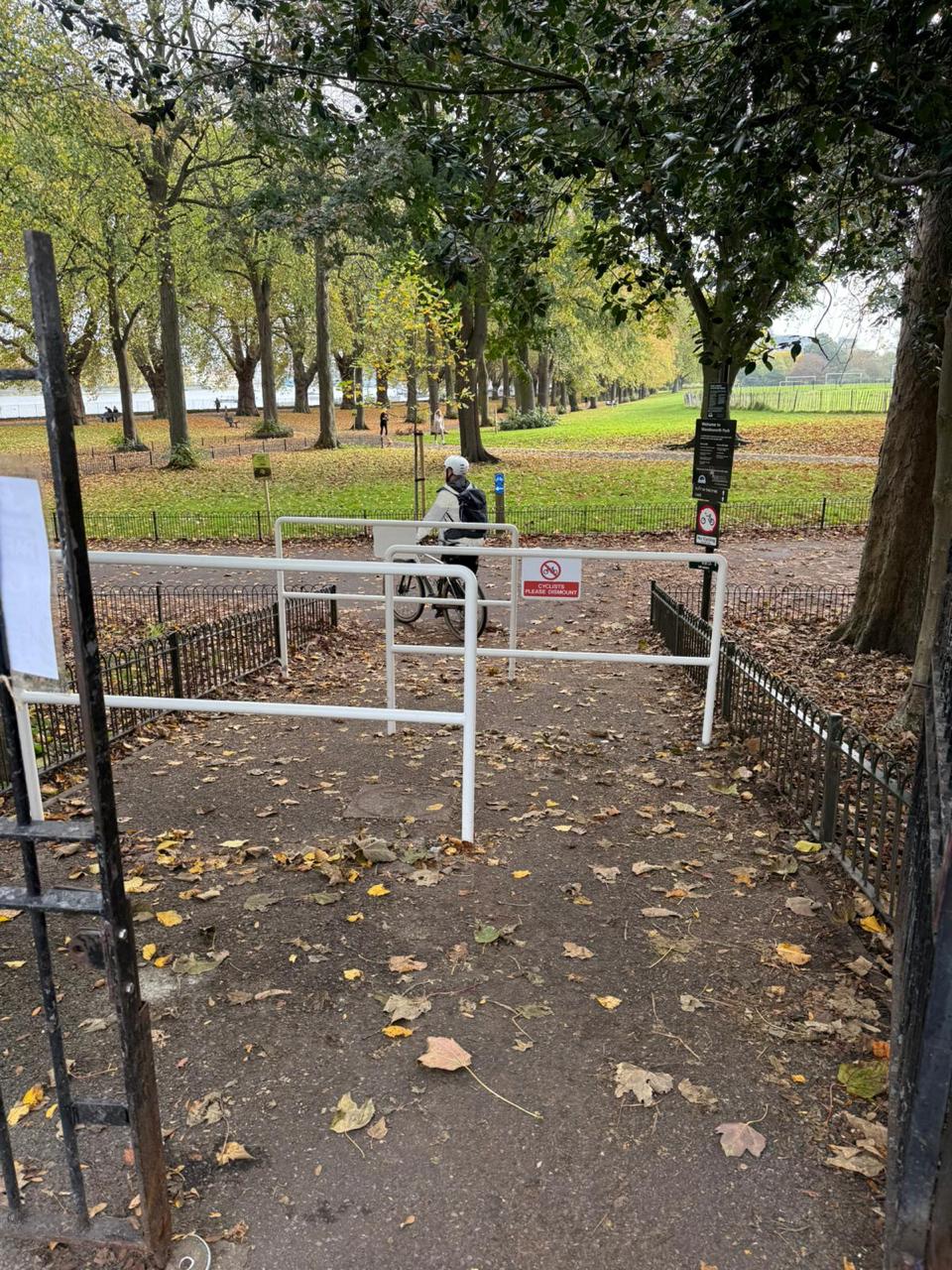 Wandsworth Park anti-cycling barriers