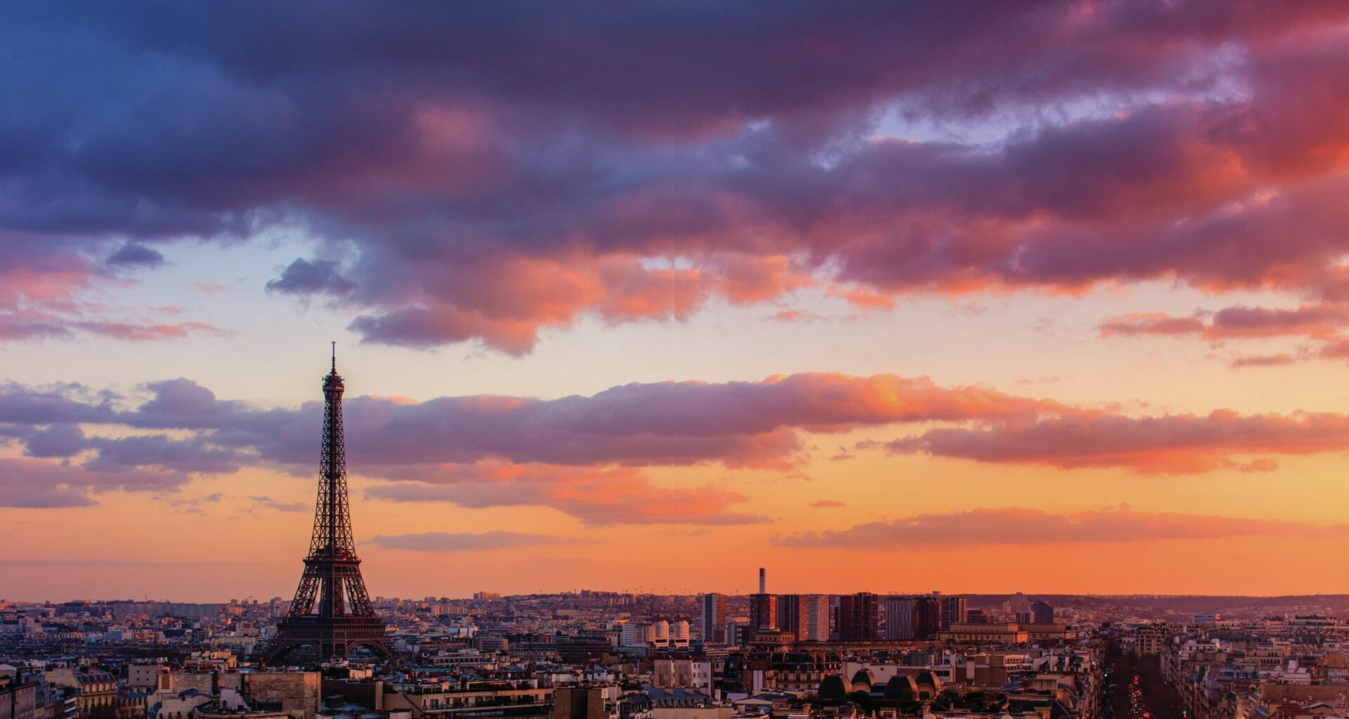 Why France is switching from red to white wine