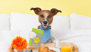 Dog-friendly city hotel crowned best in Scotland